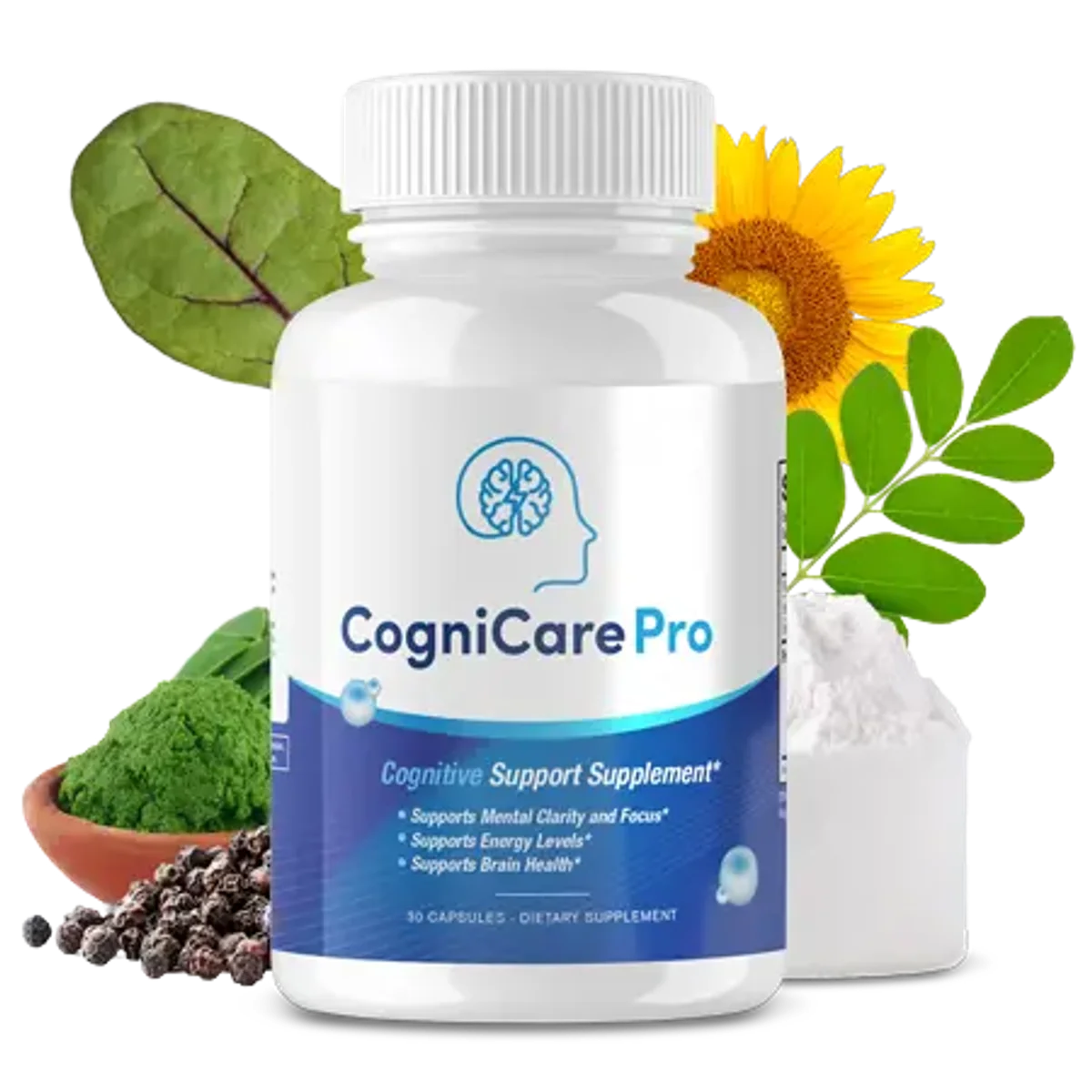 CogniCare Pro